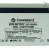 Consistent Infosystems Unveils Advanced UPS Battery | Reliable Power Backup